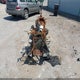 1HFSC2233XA103202 1999 Honda Gl1500 Se12 auction photo thumbnail 6