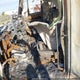 3HSCUAPR6AN206533 2010 International Prostar Premium auction photo thumbnail 5