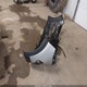 KM8J3CA41JU822830 2018 Hyundai Tucson Sel Plus auction photo thumbnail 12