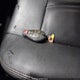 2C4RDGEG9JR240813 2018 Dodge Grand Caravan Gt auction photo thumbnail 11