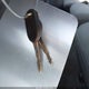 1FTRX12W27KA70219 2007 Ford F-150 Stx/Xl/Xlt auction photo thumbnail 11