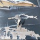 1HTMMAAL99H089699 2009 International 4000 4300 auction photo thumbnail 10