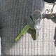 JT4RN13P7M6027559 1991 Toyota Pickup 1/2 Ton Ex Lng Whlbse Dlx auction photo thumbnail 11