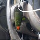 1C4RJEAG4DC577583 2013 Jeep Grand Cherokee Laredo auction photo thumbnail 11