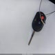 1FMCU9GX1GUB67765 2016 Ford Escape Se auction photo thumbnail 11