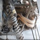3NSRML2KXNG382891 2022 Polaris Rzr Pro R 4 Ultimate Launch Edition auction photo thumbnail 9