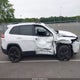 1C4PJMLB2LD526952 2020 Jeep Cherokee Altitude 4X4 auction photo thumbnail 13