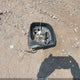 1FMZU67E01UB82837 2001 Ford Explorer Sport Trac auction photo thumbnail 12
