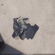 1FTFW1ET6CKE16869 2012 Ford F-150 Lariat auction photo thumbnail 12