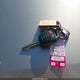 4T4BF1FK0ER431056 2014 Toyota Camry Le auction photo thumbnail 11