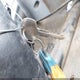 JALE5W164N7300540 2022 Isuzu Nrr auction photo thumbnail 11