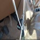 2GCEC19T7X1170144 1999 Chevrolet Silverado Ls auction photo thumbnail 11