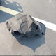 SD7VUJAW2PTV06537 2023 Aston Martin Dbx auction photo thumbnail 12