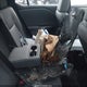 JTJABABB3SA009384 2025 Lexus Rz 300E Premium auction photo thumbnail 8