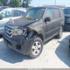 5FNYF4H59BB048559 2011 Honda Pilot Ex-L auction photo thumbnail 2