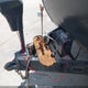 1UJBJ0BN6H17U0415 2017 Jay Flight Other auction photo thumbnail 10