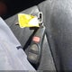 JN8AZ08WX7W664689 2007 Nissan Murano S auction photo thumbnail 11