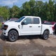 1FTEW2LPXRKE20066 2024 Ford F-150 Stx auction photo thumbnail 14