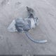 5TDZA22C85S258746 2005 Toyota Sienna Xle/Xle Limited auction photo thumbnail 12