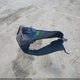 19XFC2F80HE208439 2017 Honda Civic Ex auction photo thumbnail 12