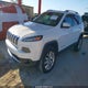 1C4PJMDS8FW564662 2015 Jeep Cherokee Limited auction photo thumbnail 2