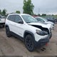 1C4PJMBX4LD623583 2020 Jeep Cherokee Trailhawk 4X4 auction photo thumbnail 1