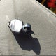 3JBVGAY44NE001507 2022 Can-Am Maverick X3 Ds Turbo auction photo thumbnail 11