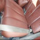 JN8AZ08W63W236256 2003 Nissan Murano Sl auction photo thumbnail 8