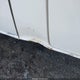 WD3PE8DD8GP362634 2016 Mercedes-Benz Sprinter 2500 High Roof auction photo thumbnail 17