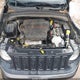 ZACCJBCT7GPD56915 2016 Jeep Renegade Trailhawk auction photo thumbnail 10