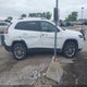 1C4PJMLN5KD195101 2019 Jeep Cherokee Latitude Plus 4X4 auction photo thumbnail 13