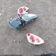 4A3AC44G44E031901 2004 Mitsubishi Eclipse Gs auction photo thumbnail 12
