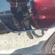 1N4AL3AP5EN376167 2014 Nissan Altima 2.5/2.5 S/2.5 Sl/2.5 Sv auction photo thumbnail 13