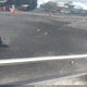 KMHFC46F89A343081 2009 Hyundai Azera Limited auction photo thumbnail 18