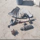 1FTER4FH7MLD94990 2021 Ford Ranger Lariat auction photo thumbnail 12