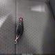 2A8HR44H58R824845 2008 Chrysler Town & Country Lx auction photo thumbnail 11