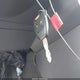 1B3HB48B28D684534 2008 Dodge Caliber Sxt auction photo thumbnail 11