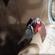 19UUA66285A011681 2005 Acura Tl auction photo thumbnail 11