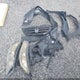 1HGCR2F30EA126104 2014 Honda Accord Lx auction photo thumbnail 12