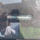 WVWBA71F98V048614 2008 Volkswagen Eos Komfort/Turbo auction photo thumbnail 9