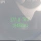 1ZVHT80N395122854 2009 Ford Mustang V6/V6 Premium auction photo thumbnail 16