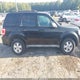 1FMCU0D71AKB11456 2010 Ford Escape Xlt auction photo thumbnail 6