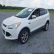 1FMCU0H98DUB05934 2013 Ford Escape Sel auction photo thumbnail 2