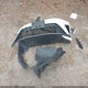 3VW7X7BU8SM044750 2025 Volkswagen Jetta 1.5T Se auction photo thumbnail 12