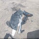 5TDKDRAH9PS526866 2023 Toyota Highlander Xle auction photo thumbnail 12