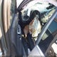 1G1ZG5ST3PF206162 2023 Chevrolet Malibu Fwd Rs auction photo thumbnail 11