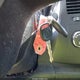 1GCEK190X8E216753 2008 Chevrolet Silverado 1500 Lt1 auction photo thumbnail 11