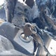 1J4AA2D12BL513200 2011 Jeep Wrangler Sport auction photo thumbnail 11