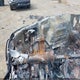 1FTEW1EF9GFA07057 2016 Ford F-150 Xlt auction photo thumbnail 14