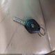 5UXFB53505LV17554 2005 BMW X5 4.4I auction photo thumbnail 11